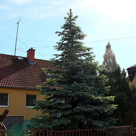 Dom Studia Petra Hotel Štúrovo Exterior foto